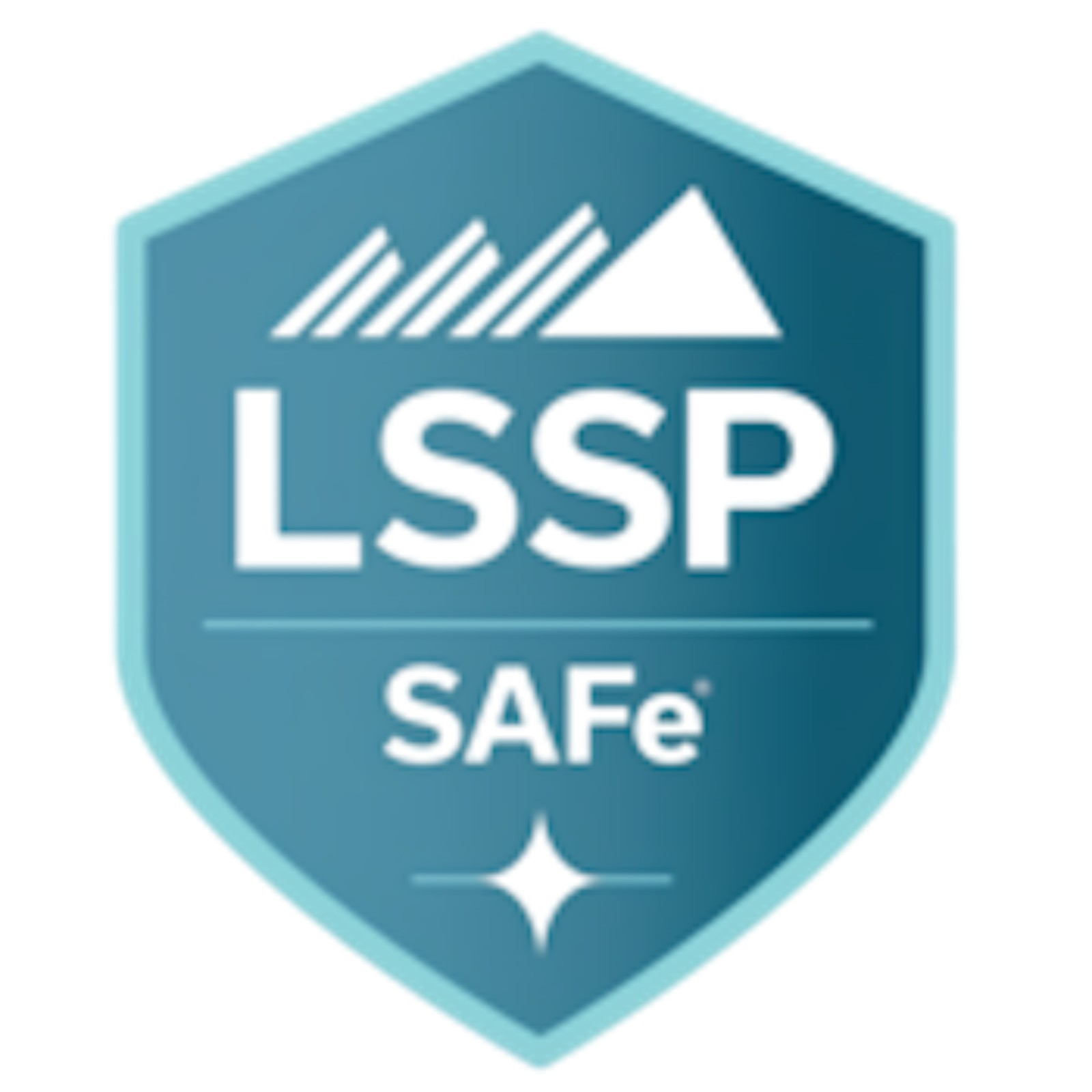 Large Solution SAFe